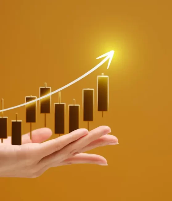 3algos-profit-algo-trading